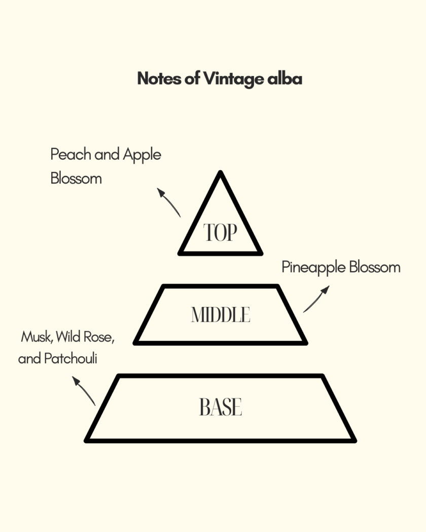 Vintage alba | Classic | Rose made muskyperfume | for both men and women perfumes