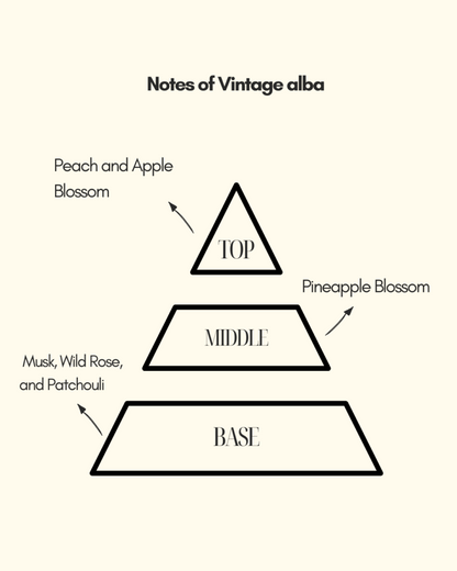 Vintage alba | Classic | Rose made muskyperfume | for both men and women perfumes